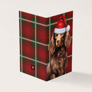 Boykin Spaniel Christmas Dog com Xadrez de Natal