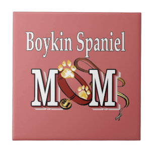 Boykin Spaniel Mãe