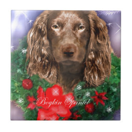 Boykin Spaniel Natal