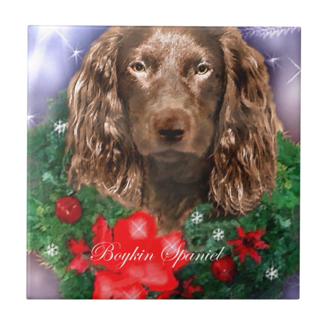 Boykin Spaniel Natal (Frente)