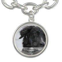 Memorial do Modelo de Foto Pet Dog