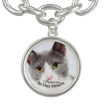 Pet Cat Fotografia Modelo Memorial Keepsaoket