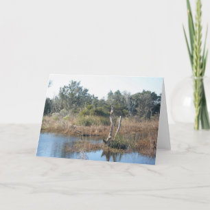 Brackish Pond Buxton NC OBX Cartão de Nota