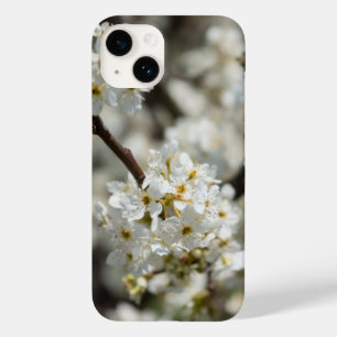 Bradford Select capas de iphone de foco