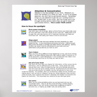 Brainology® Poster 3: Atenção e Concentração