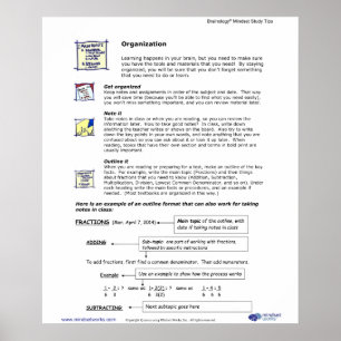 Brainology® Poster 4: Organização
