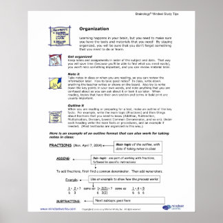 Brainology® Poster 4: Organização