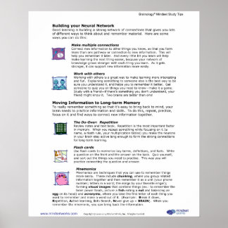 Brainology® Poster 6: Construindo sua rede neural