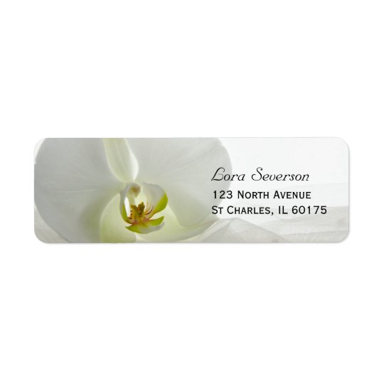Branco da orquídea e casamento do véu etiqueta endereço de retorno