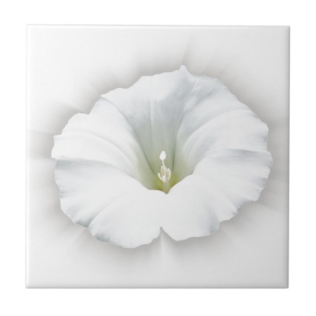 branco e sombra de cinza (Frente)