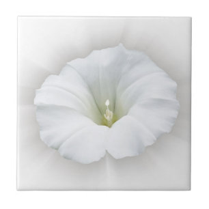 branco e tons de cinza