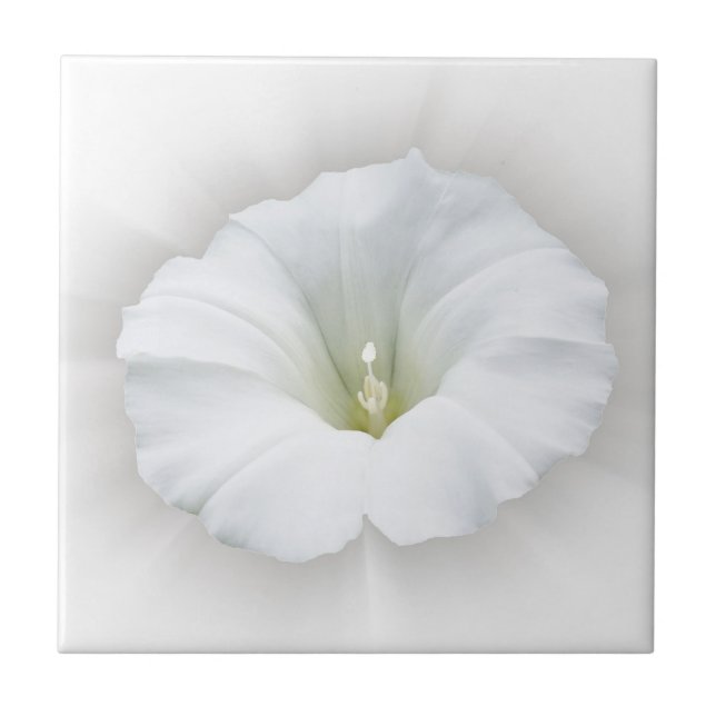 branco e tons de cinza (Frente)