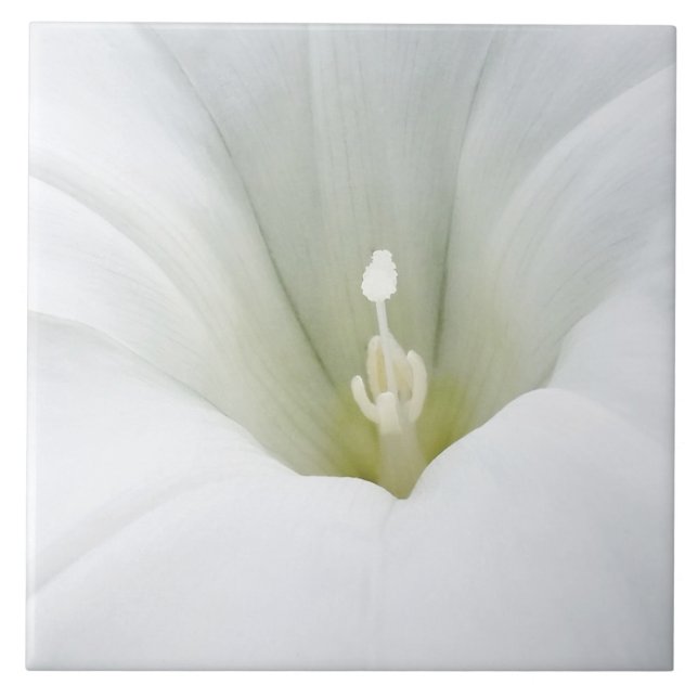 branco e tons de cinza (Frente)