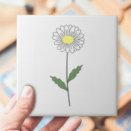 Branco-Flor-Daisy Pastel Botânico