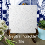Branco quebrado - Olhar Vintage - Backsplash antig<br><div class="desc">Este azulejo cerâmico com aspecto de vidro estalado tem uma fissura de cinzas gradiente em fundo branco. Parece uma peça feita à mão, artesanatos com um aspecto decorativo, mas neutro. Perfeito como sotaque sozinho ou combinado com outros motivos de azulejo em uma instalação de backsplash. Arte e design de Tuzi...</div>
