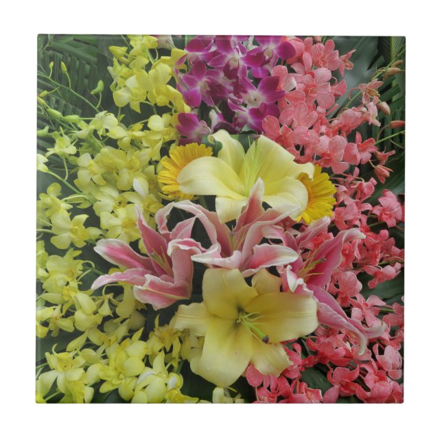 branco + rosa, verde + roxo, flor + flor, como (Frente)