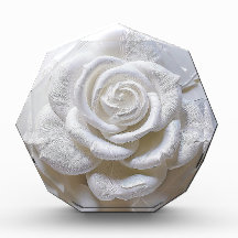Branco Sobre Branco - Rosa Esculpida