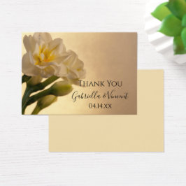 Brancos Daffodils Forragens de Casamento da primav