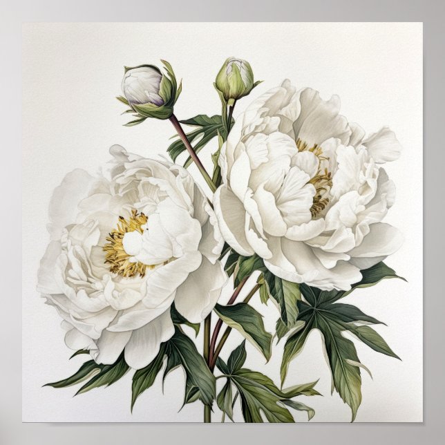 Brancos, Impressão de Arte Flor Poster (Frente)