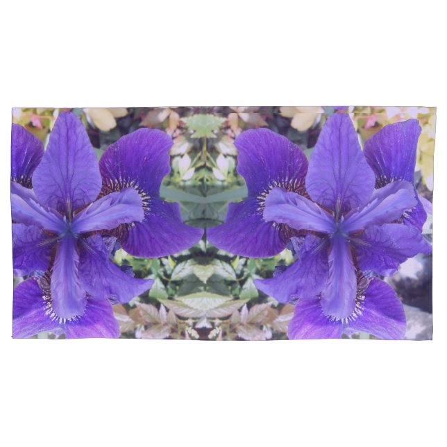 Brandeis (Frente-Esquerda)