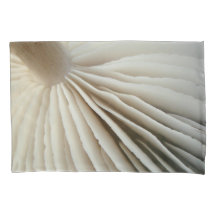 Brânquias e registros do cogumelo