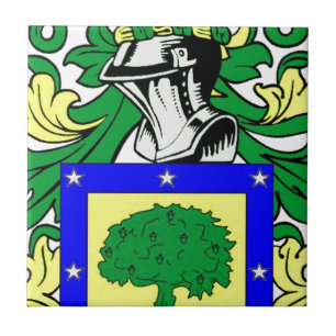 Brasão de Marti'nez