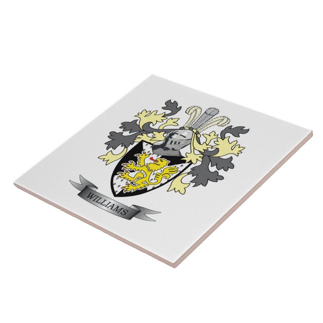 Brasão de Williams (Lateral)