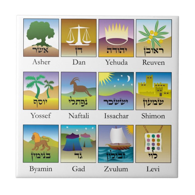 Brasões DAS aplana o conforme de Tribos de Israel (Frente)