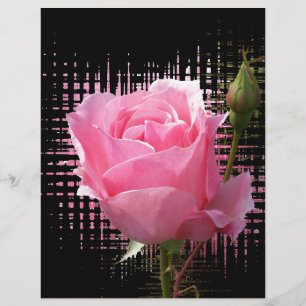 brecha rosa rosa rosa rosa