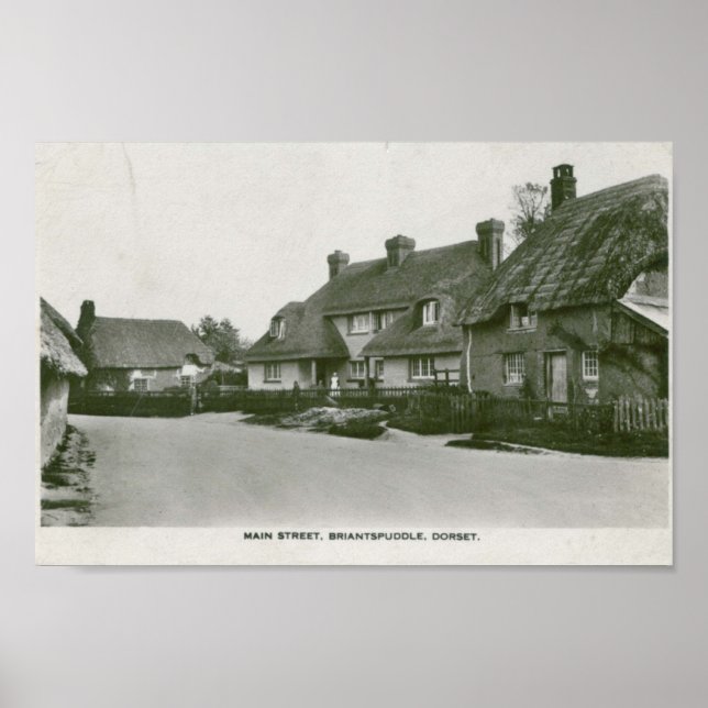 Briantspuddle, Dorset Vintage impressão (Frente)