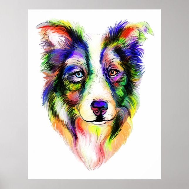 Bright Border Collie Poster (Frente)