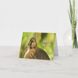 Bright Eyed Heron - Cartão de Saudação de Vazio