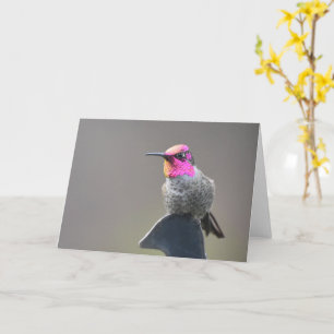 Bright Hummingbird - Cartão de Arte Framável