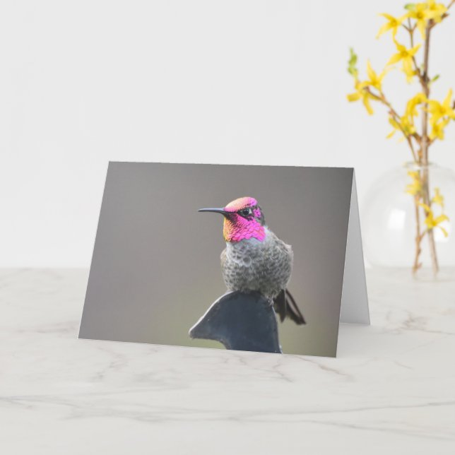 Bright Hummingbird - Cartão de Arte Framável (Flor Amarela)