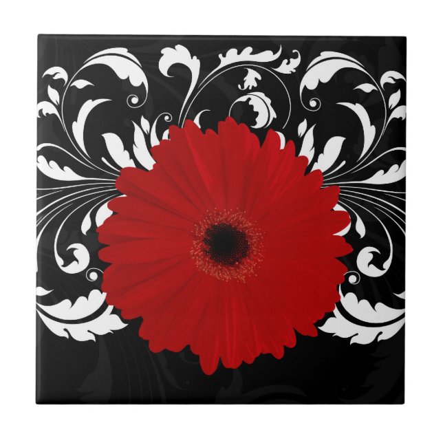 Bright Red Gerbera Daisy em Preto (Frente)