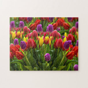 Bright Tulips Quebra-cabeça