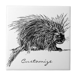 Brilhante e giro Thunder_Cove Hedgehog