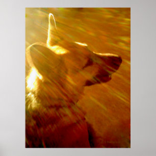Brilhe comigo German shepherd nº 2 Poster