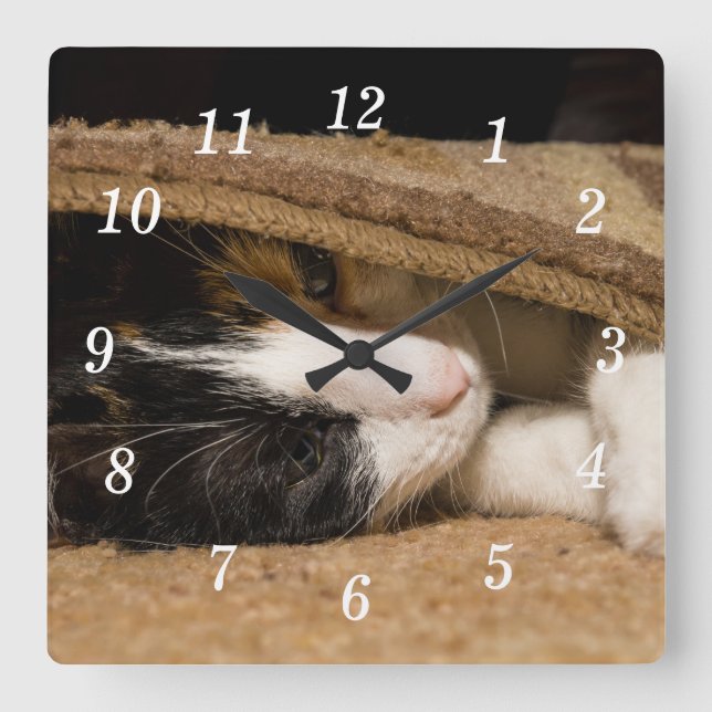 Brincando Sob O Relógio De Parede Do Rug (Frente)