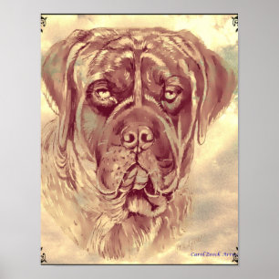 Brindle Mastiff Poster por Carol Zeock