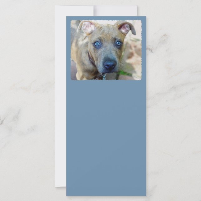 Brindle Pit Bull Puppy por Shirley Taylor (Frente)