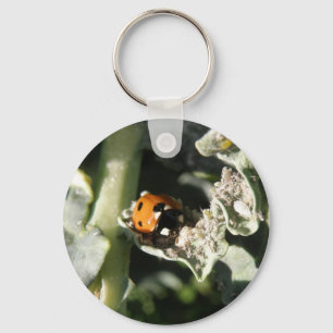 British 7 Spot Ladybug Chaveiro