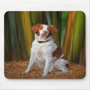 Brittany bonito Mousepad
