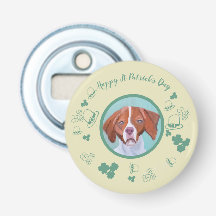Brittany Dog Feliz Dia de Patrick Rua