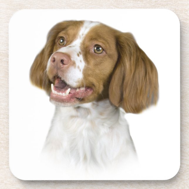 Brittany Porta copos (Frente)