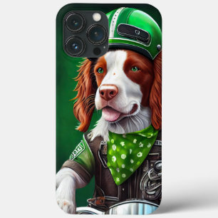 Brittany Spaniel dirigindo Ruas de bicicleta. Dia 