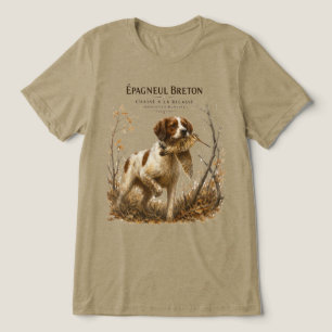 Brittany Spaniel e narceja