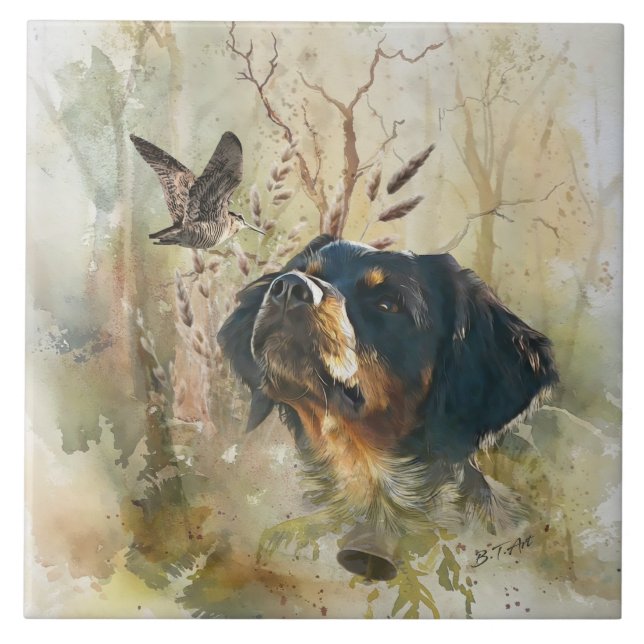 Brittany Spaniel e pinto (Frente)