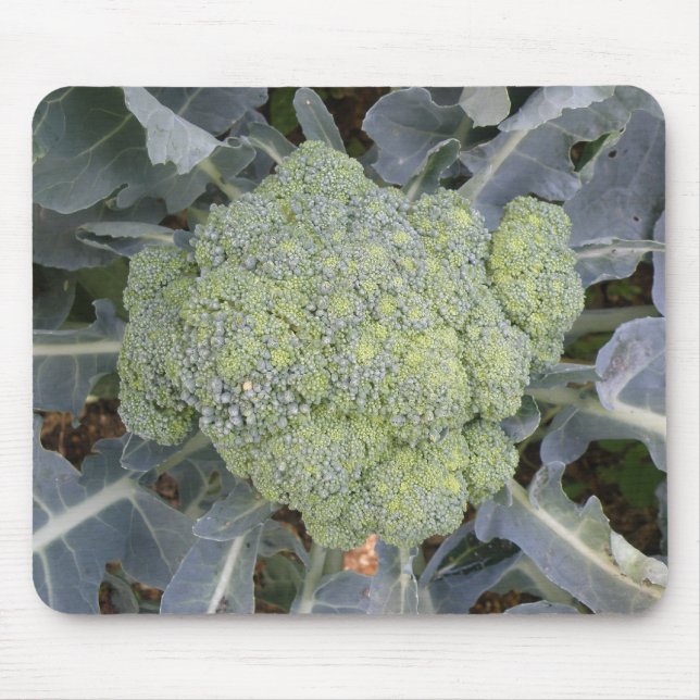 Broccoli Mousepad (Frente)