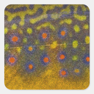 Brook Trout - Adesivos